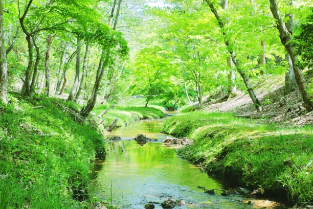 ビジネスに役立つ経済金融英語　第22回： さまざまな「グリーン（Green）」